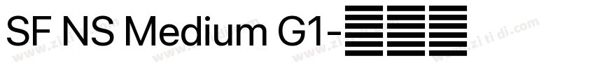 SF NS Medium G1字体转换 SF NS Medium G1字体转换